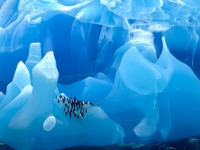 Impressive nature in the Antarctic region
